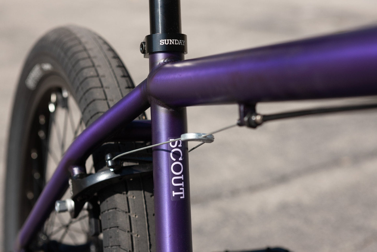 Sunday Scout Matte - Trans Purple 20.75" tt