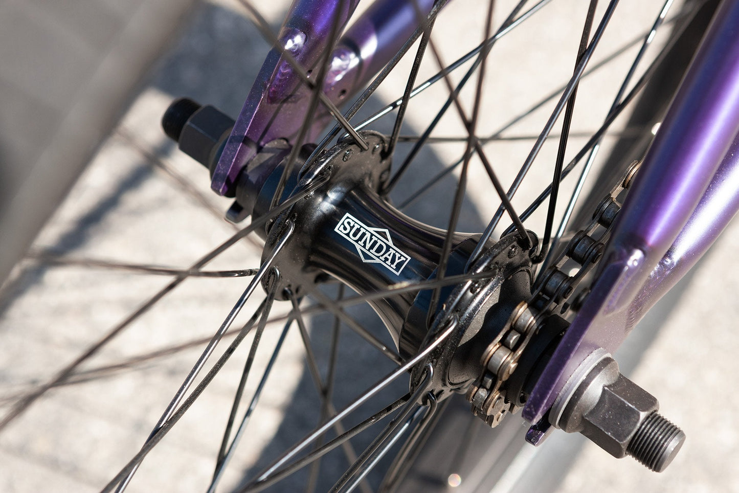 Sunday Scout Matte - Trans Purple 20.75" tt