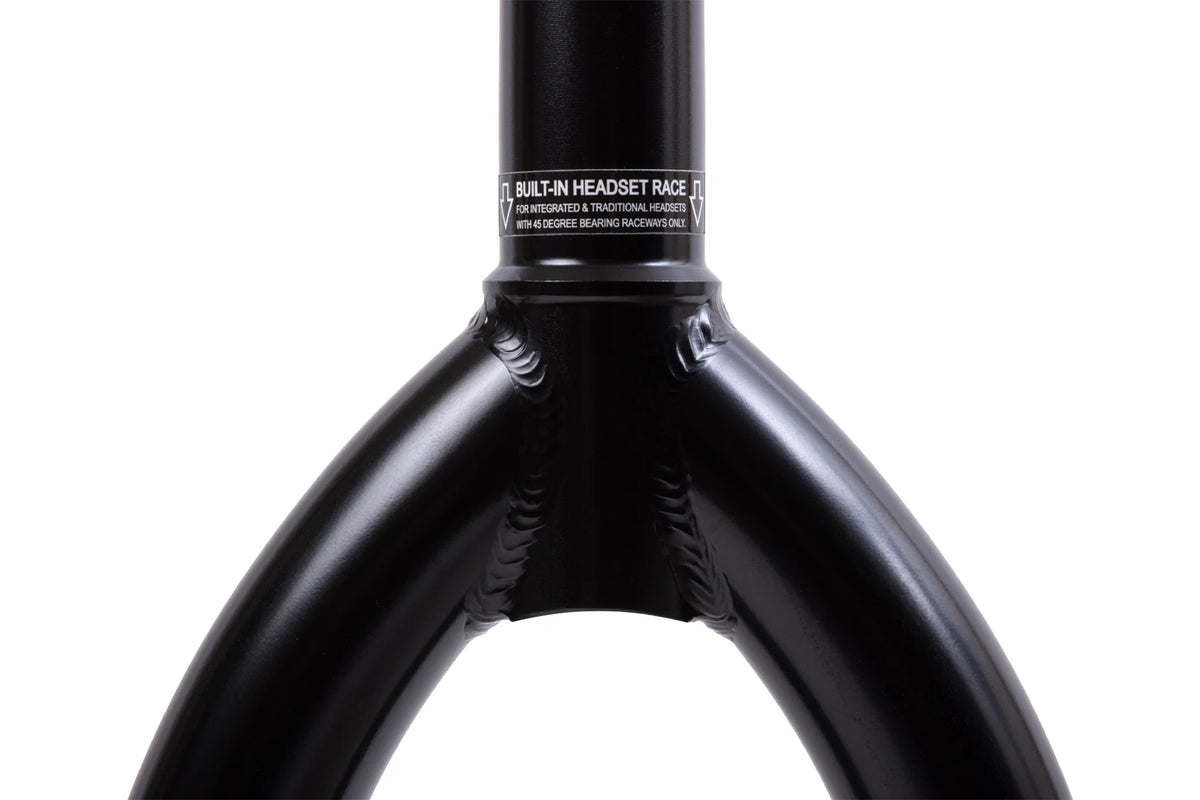 Odyssey R25 Forks Rustproof Black (25mm offset)